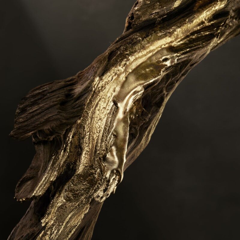 S05126645_10